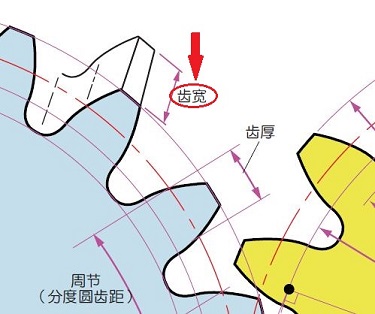 齒寬