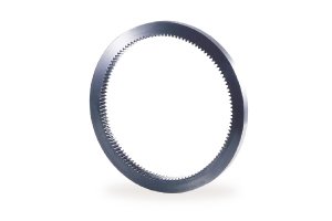 SIR 環形內齒輪
