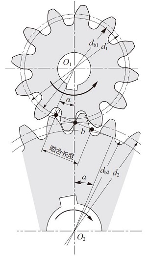 嚙合線長度